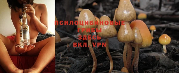 соль курить ск Арсеньев