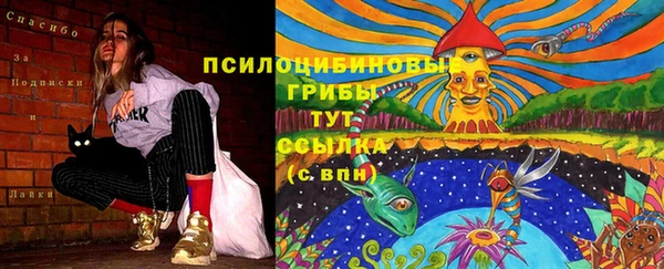 кокаин премиум Аркадак
