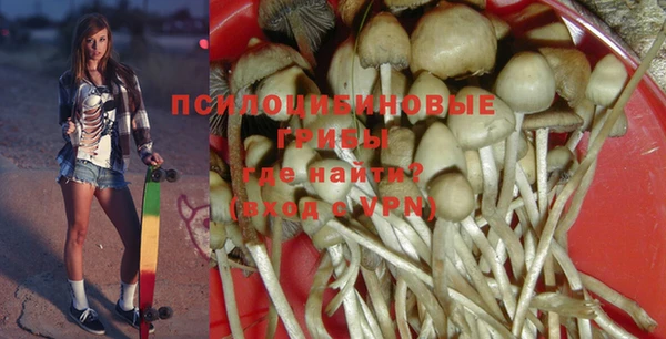 соль курить ск Арсеньев