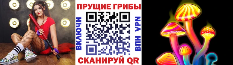Псилоцибиновые грибы Psilocybine cubensis  Ростов 